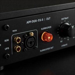 What You Must Know: Does the Space Tech Lab ASP-10001-ES Have a Subwoofer Output?
